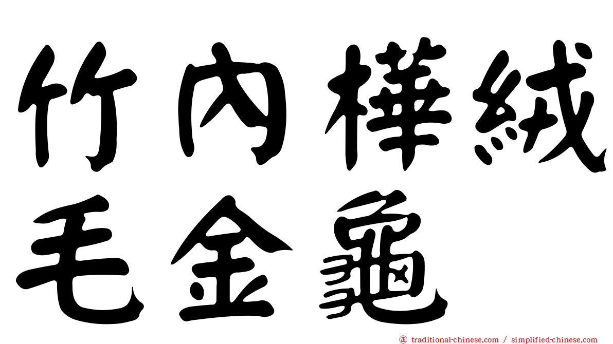 竹內樺絨毛金龜