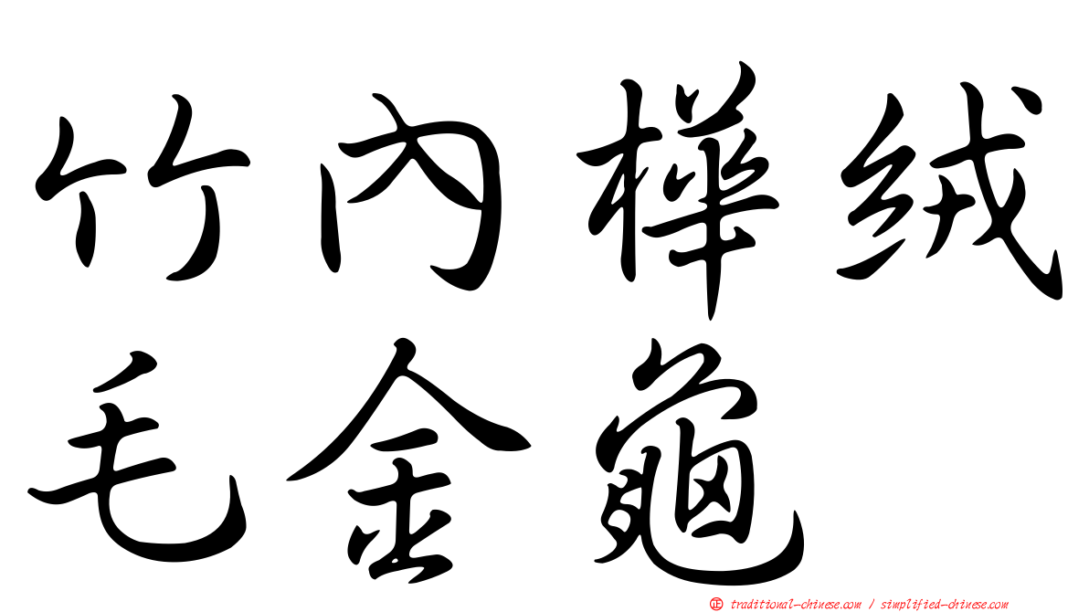 竹內樺絨毛金龜