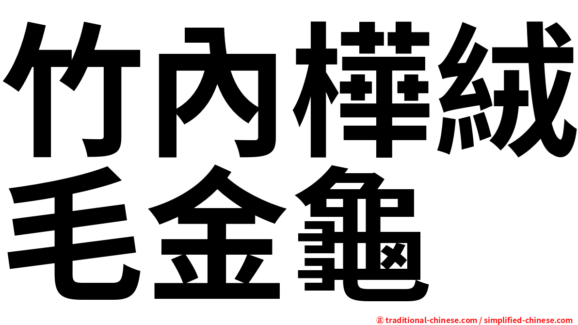 竹內樺絨毛金龜