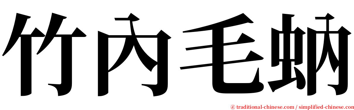 竹內毛蚋 serif font