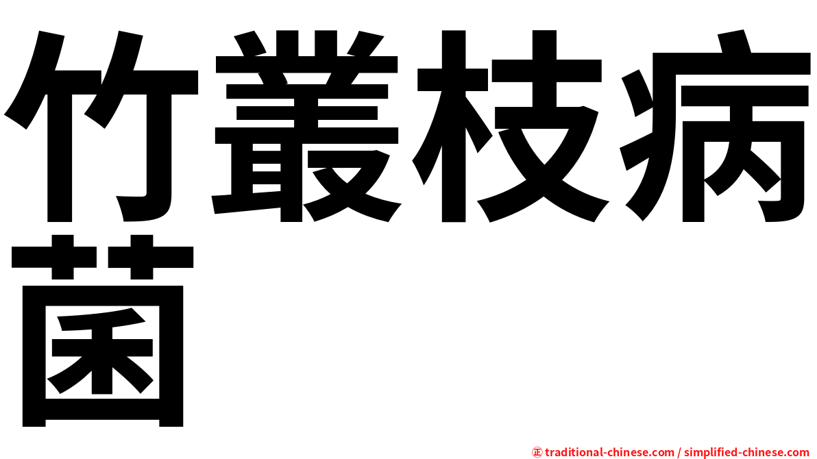 竹叢枝病菌
