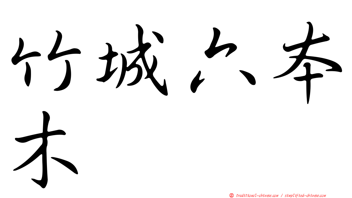 竹城六本木