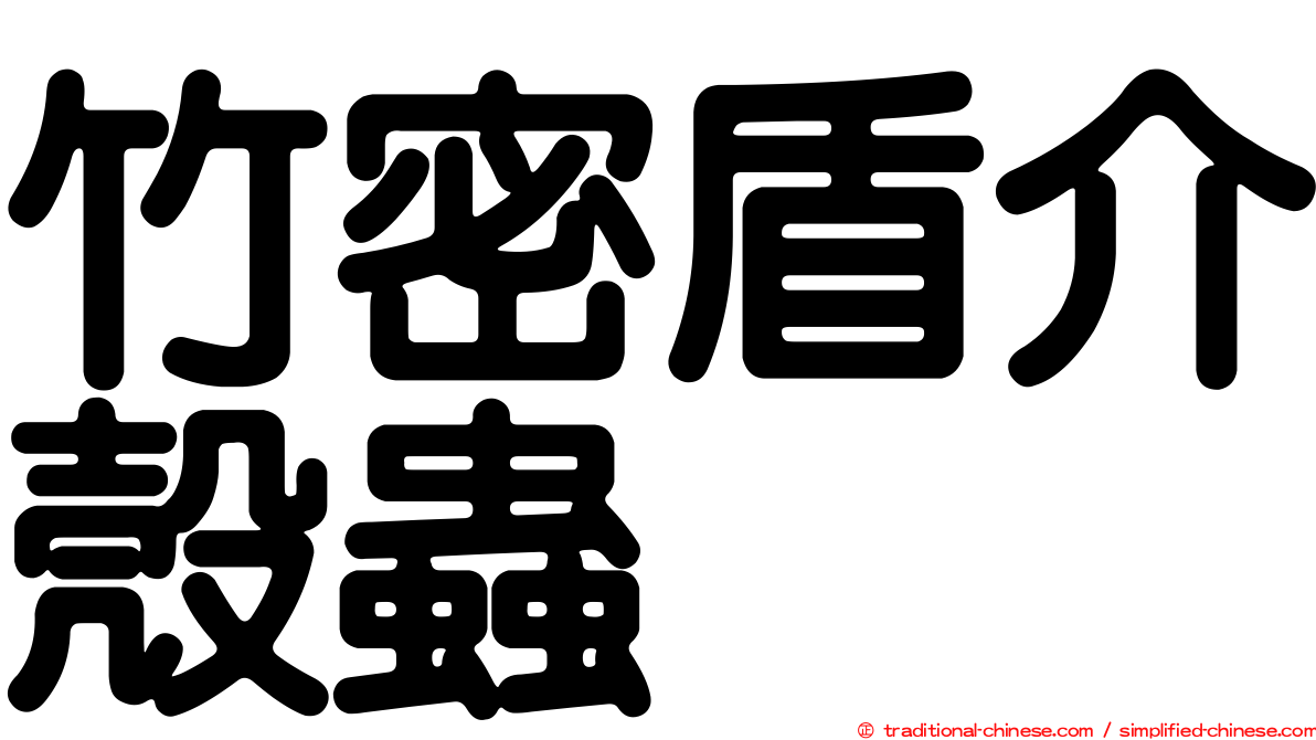 竹密盾介殼蟲