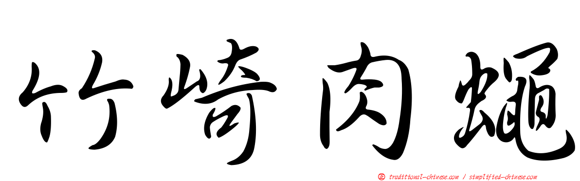 竹崎肉蠅