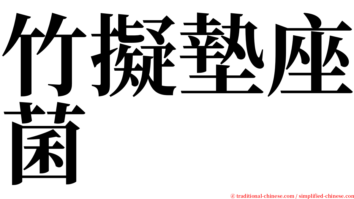 竹擬墊座菌 serif font