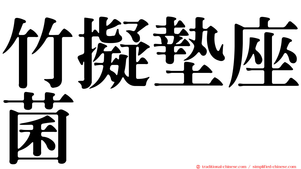 竹擬墊座菌