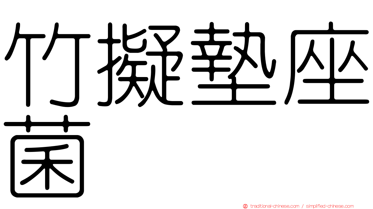 竹擬墊座菌