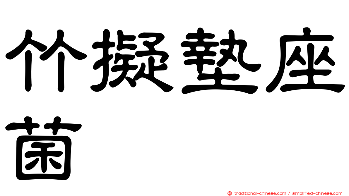 竹擬墊座菌