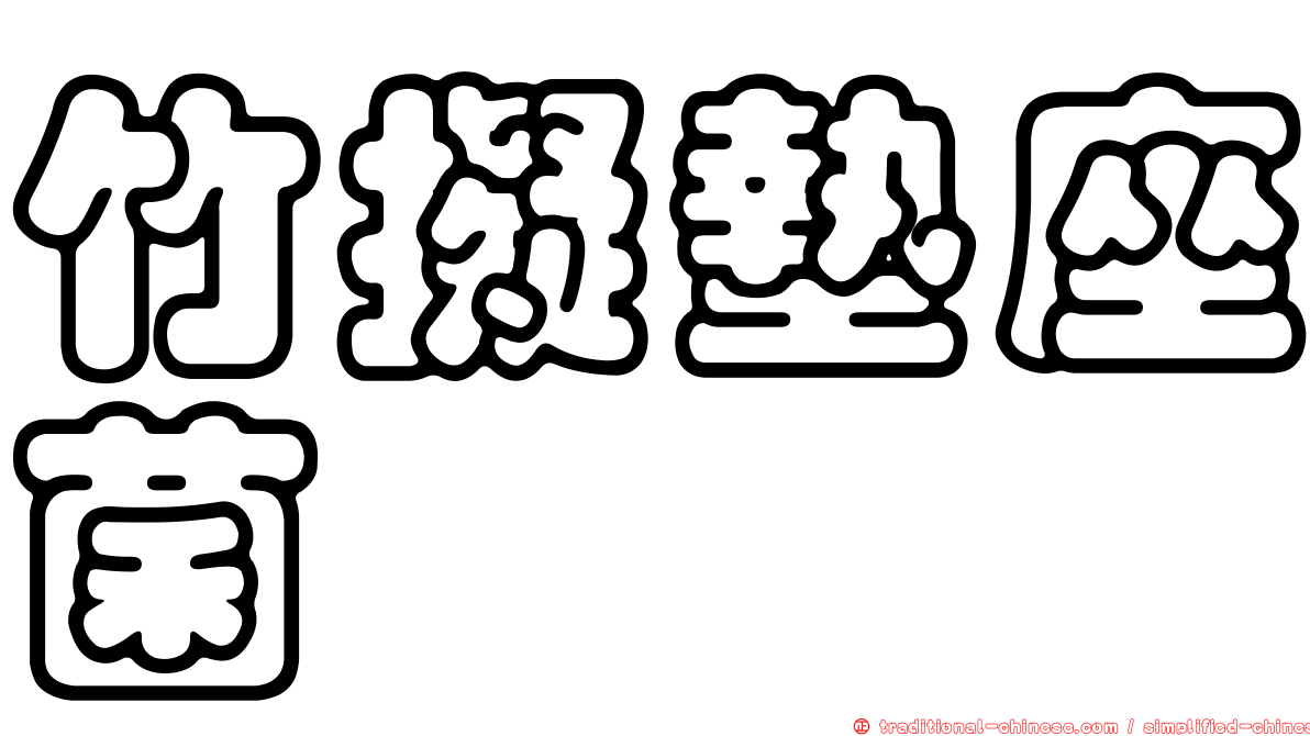 竹擬墊座菌