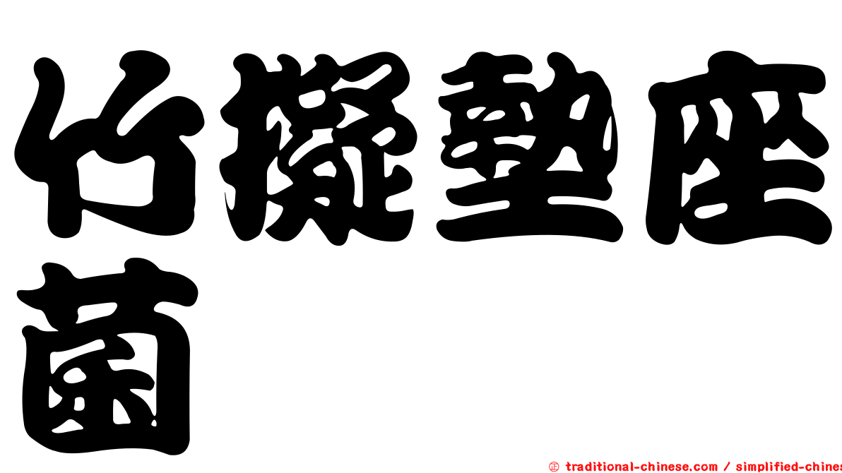 竹擬墊座菌