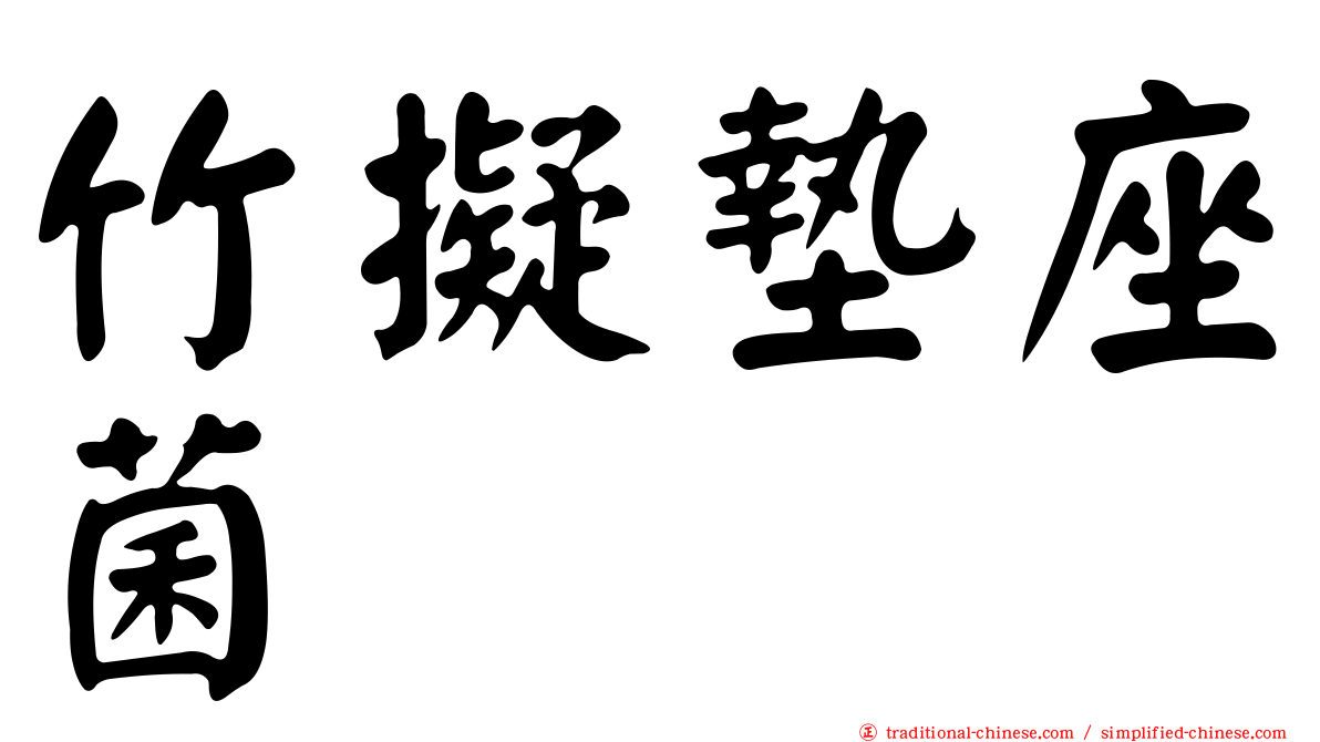 竹擬墊座菌