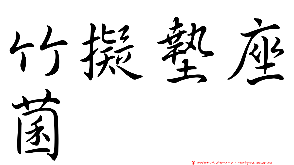 竹擬墊座菌