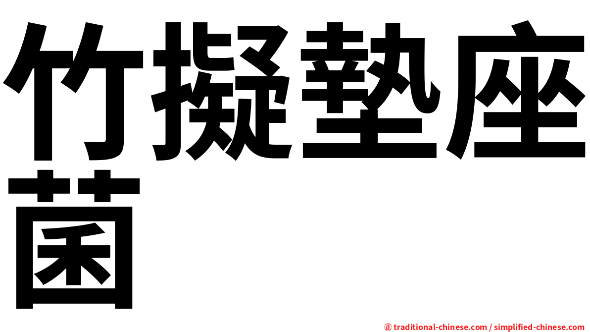 竹擬墊座菌