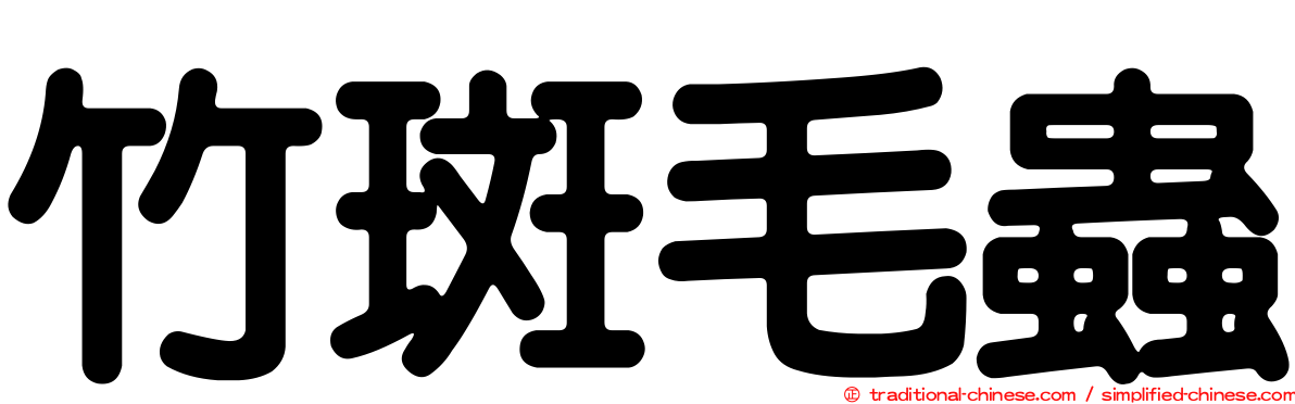 竹斑毛蟲
