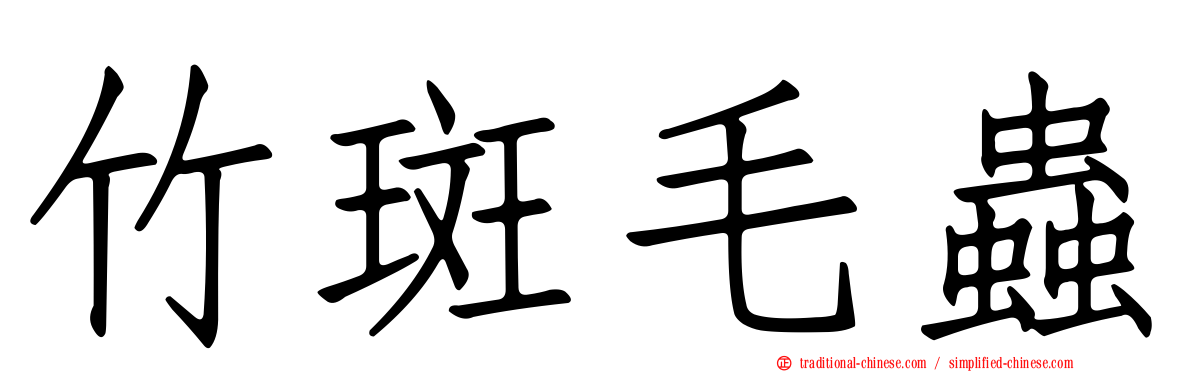 竹斑毛蟲