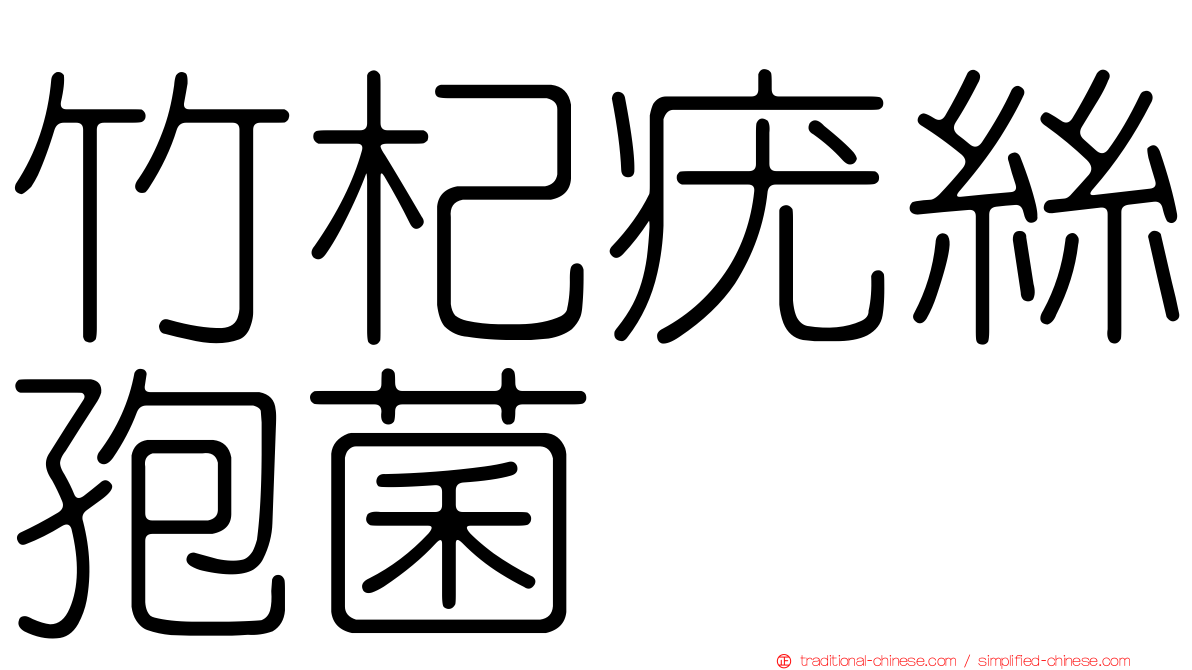 竹杞疣絲孢菌