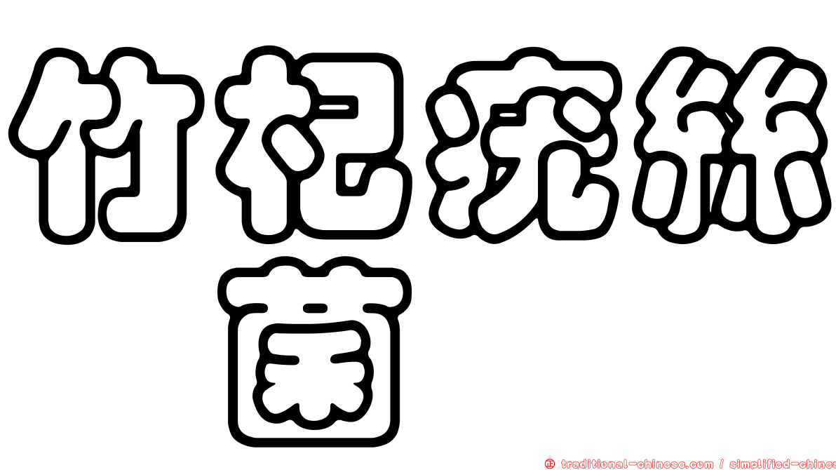 竹杞疣絲孢菌
