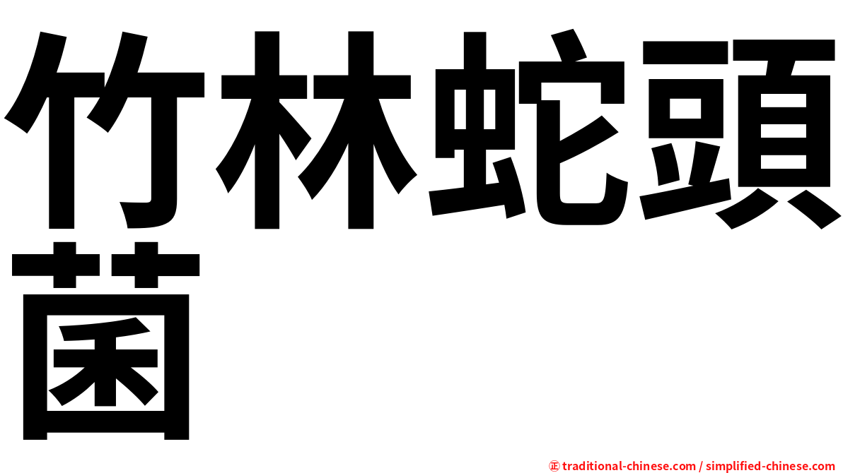 竹林蛇頭菌