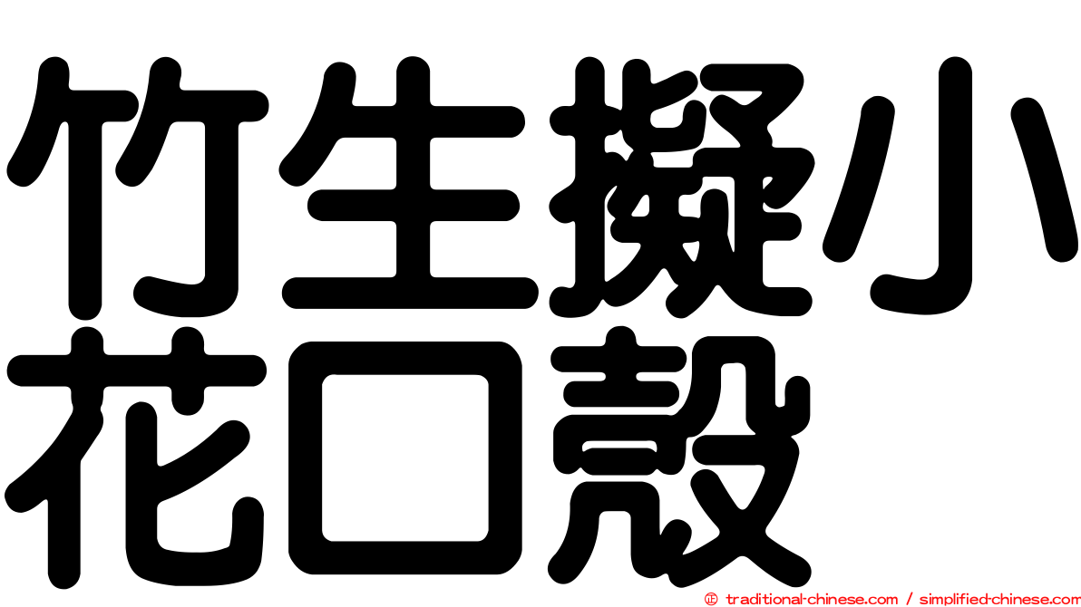 竹生擬小花口殼