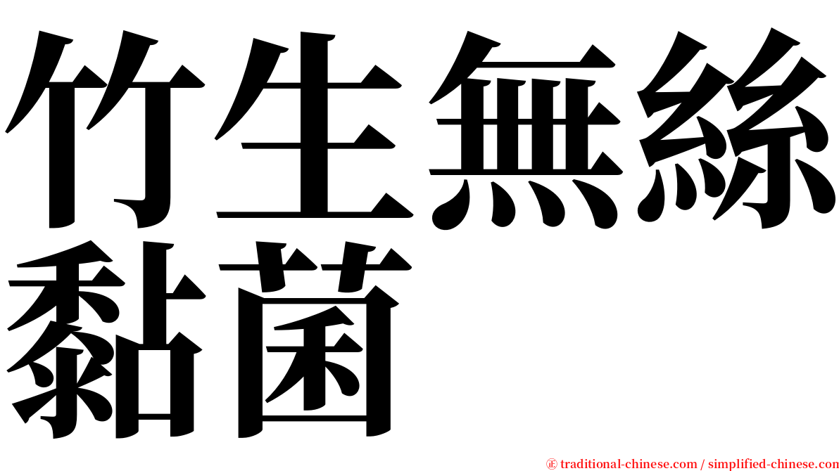 竹生無絲黏菌 serif font