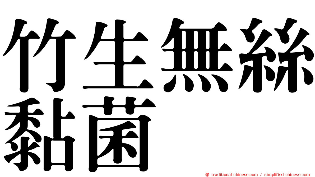 竹生無絲黏菌