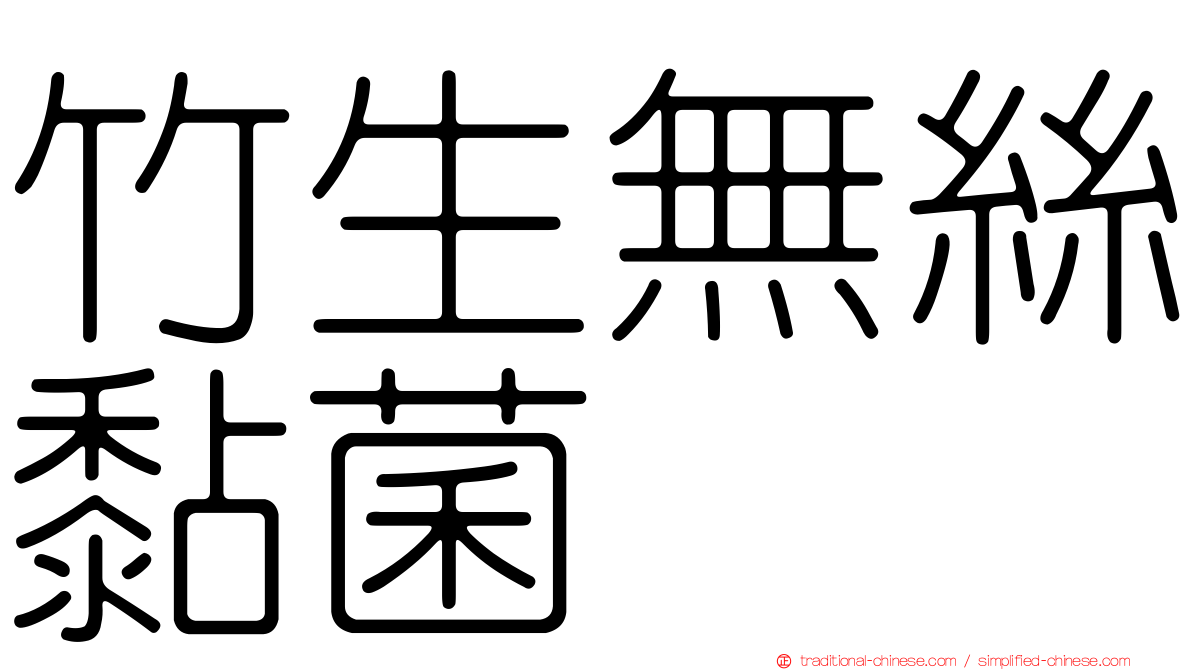 竹生無絲黏菌
