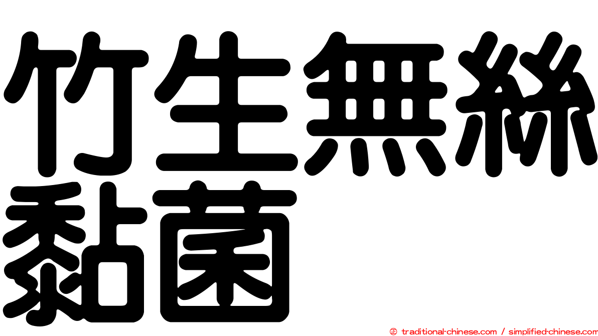 竹生無絲黏菌