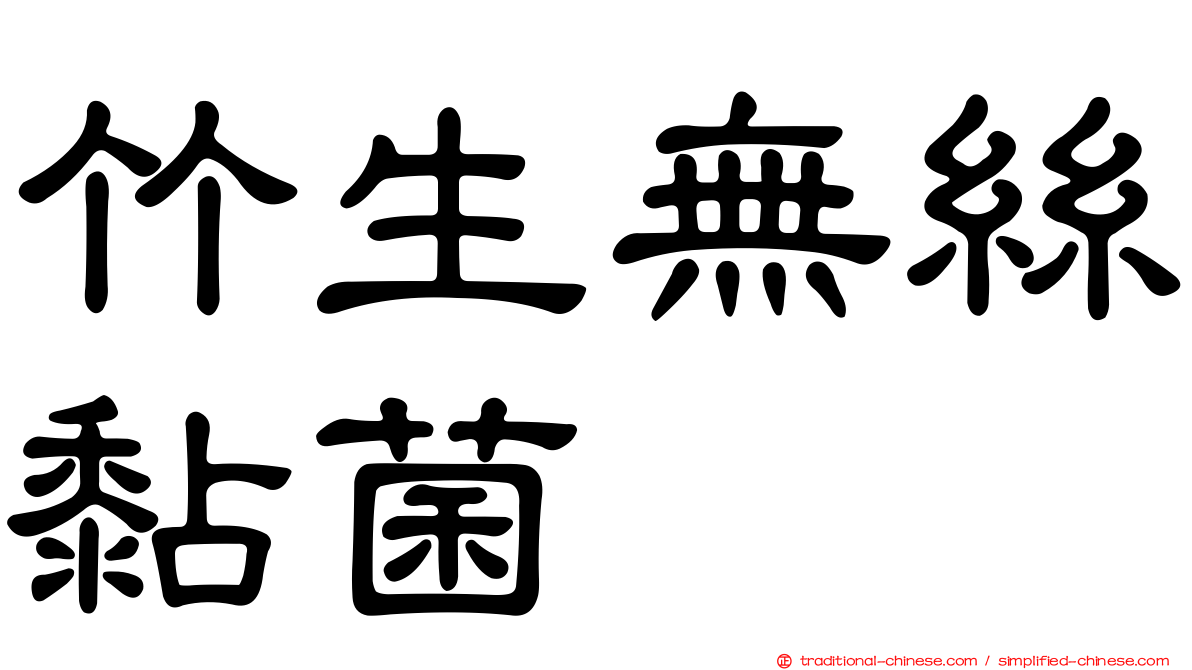 竹生無絲黏菌