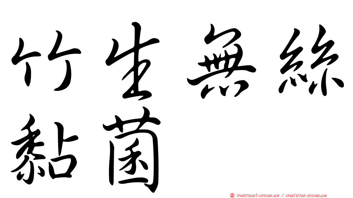 竹生無絲黏菌