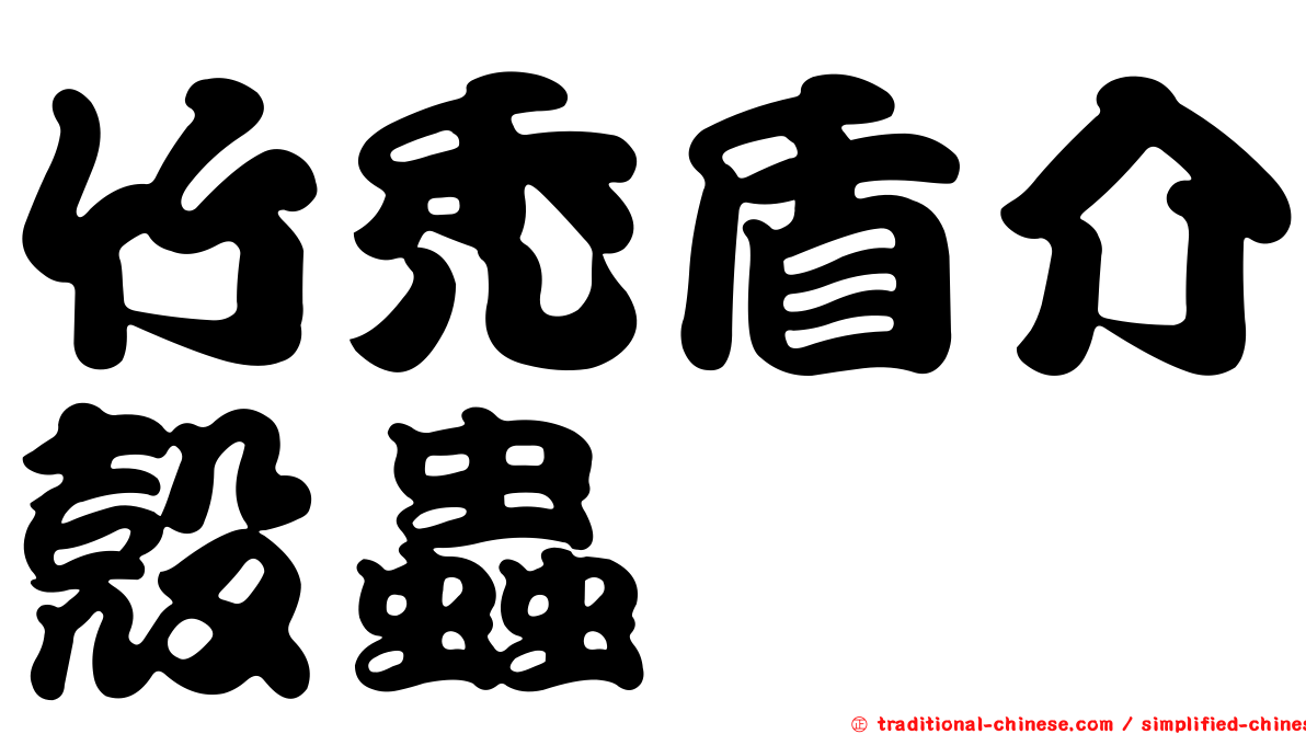 竹禿盾介殼蟲