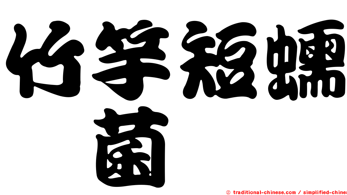 竹竽短蠕孢菌