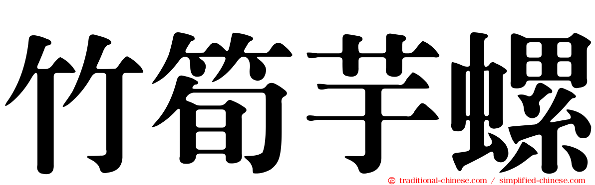 竹筍芋螺