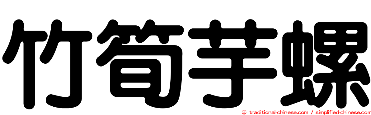 竹筍芋螺
