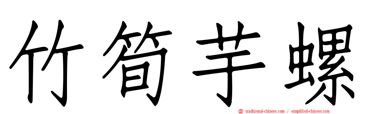 竹筍芋螺