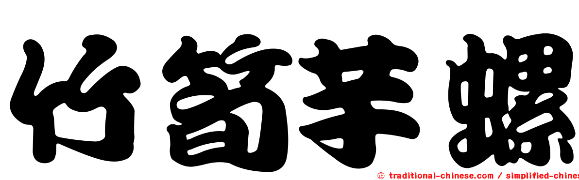 竹筍芋螺