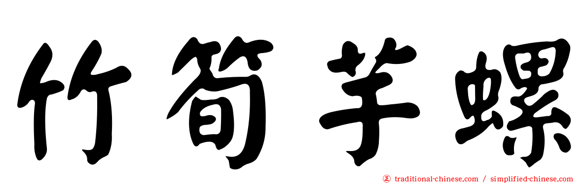 竹筍芋螺