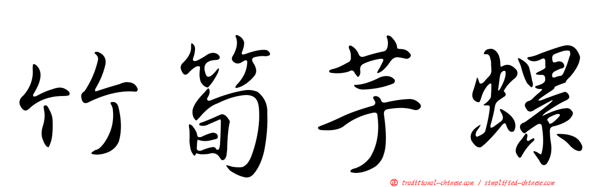 竹筍芋螺