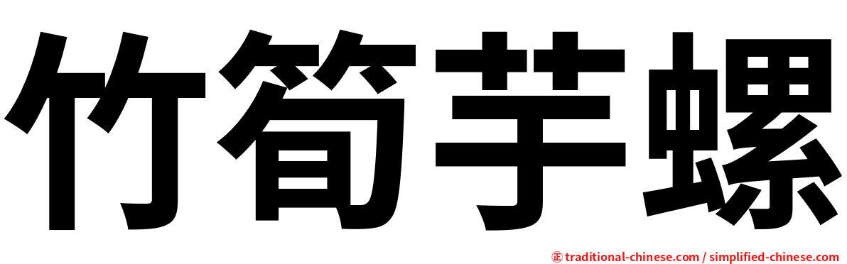 竹筍芋螺