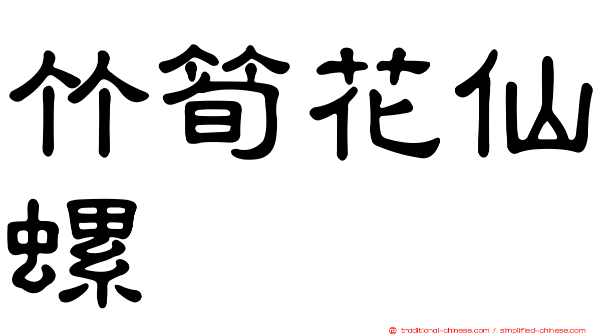 竹筍花仙螺