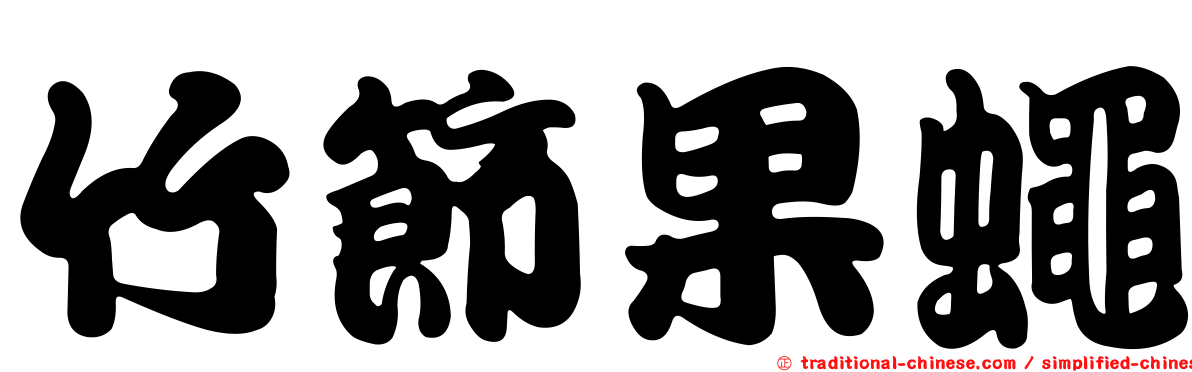 竹節果蠅