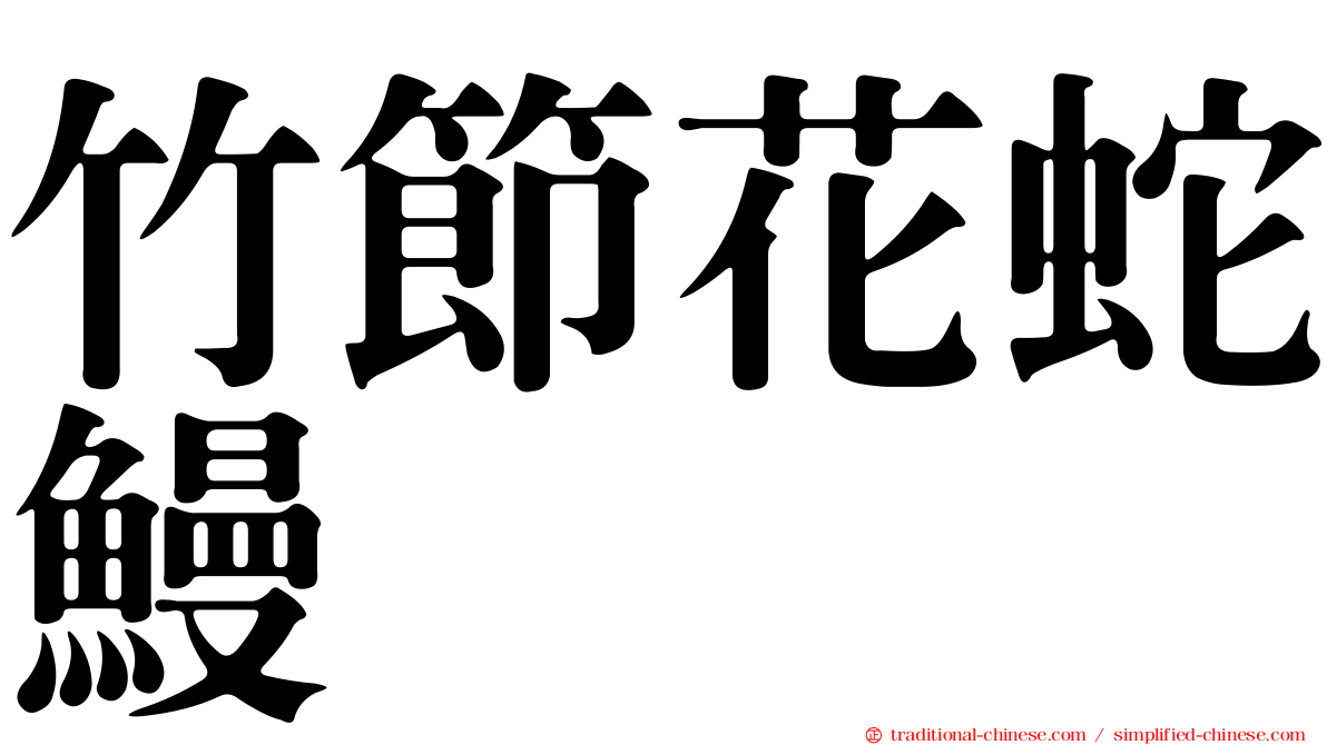 竹節花蛇鰻