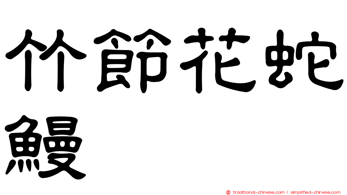 竹節花蛇鰻