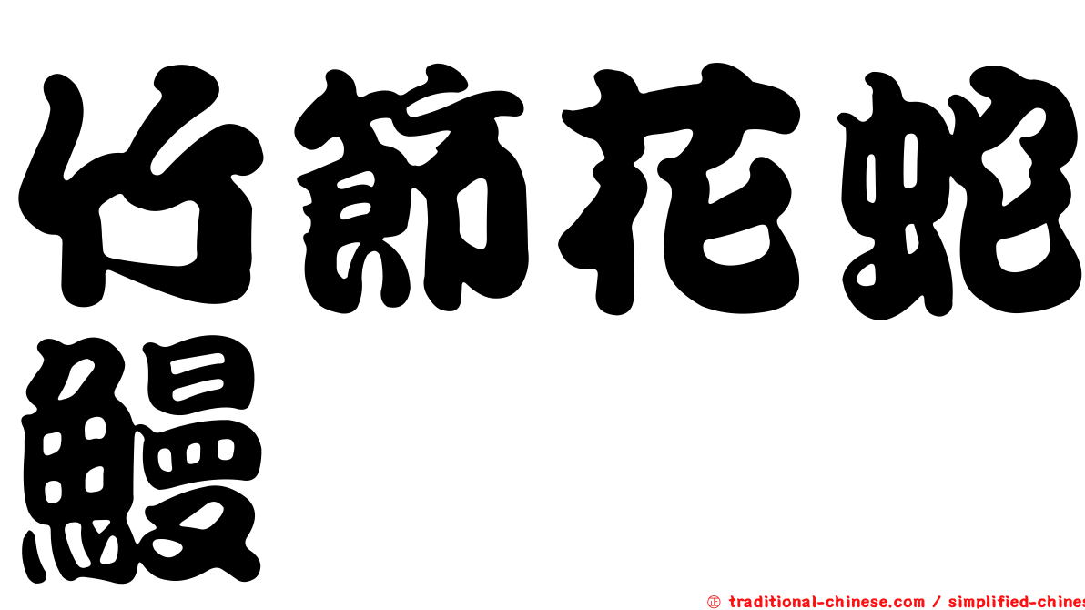 竹節花蛇鰻