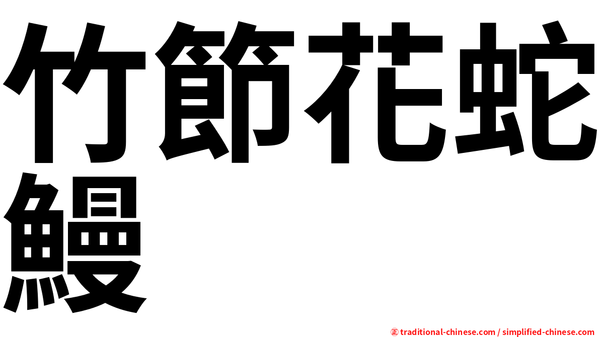 竹節花蛇鰻
