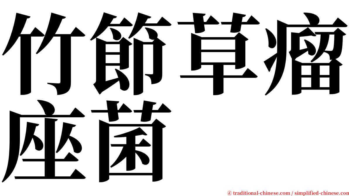 竹節草瘤座菌 serif font