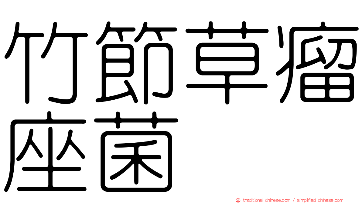 竹節草瘤座菌