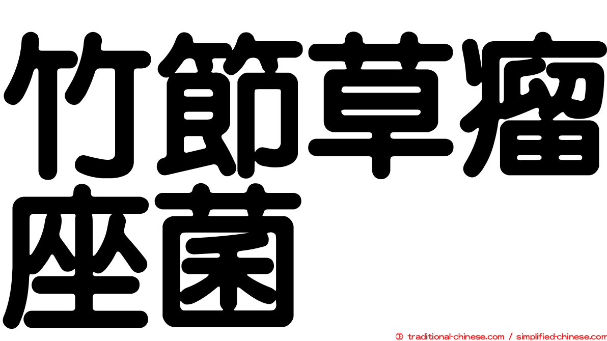 竹節草瘤座菌