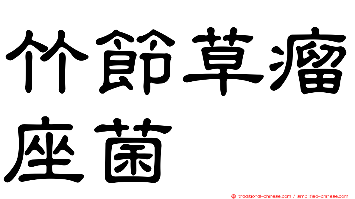 竹節草瘤座菌