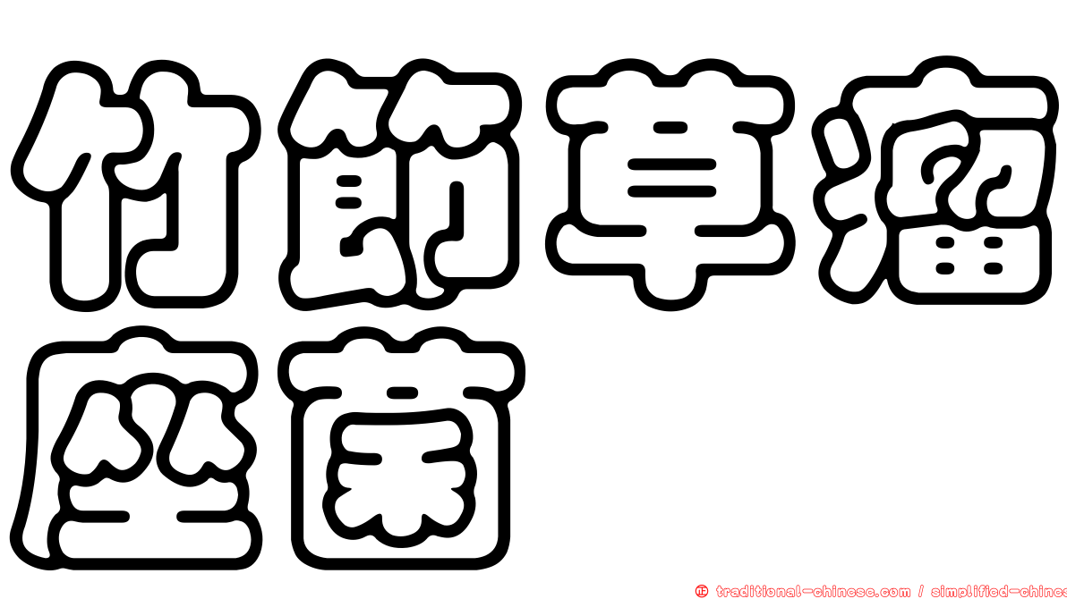 竹節草瘤座菌