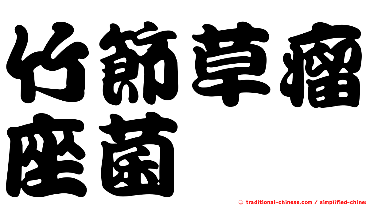 竹節草瘤座菌